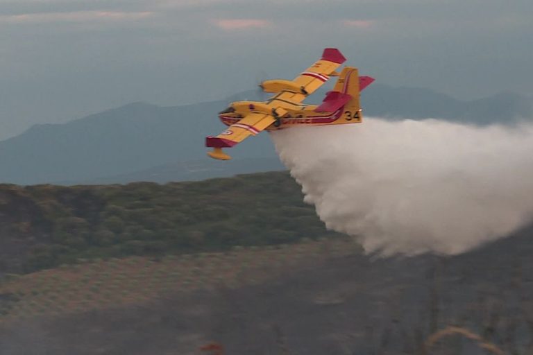 the fire is brought under control in Argelès-sur-Mer, 30 hectares ravaged