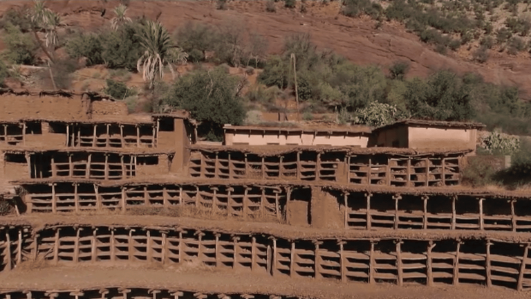 the oldest apiary in the world threatened by drought