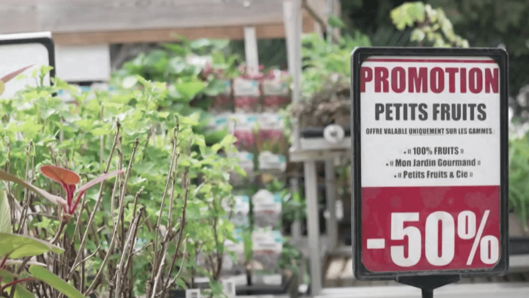 the underside of promotions in garden centers