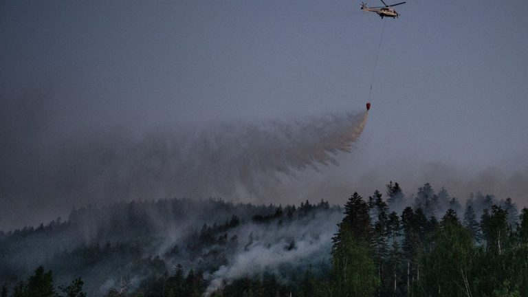 30 hectares of forest destroyed near Épinal, the fire is not yet fixed