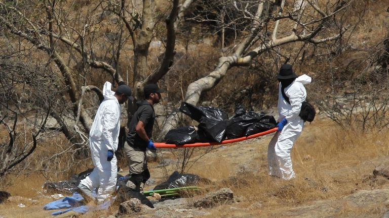 45 bags containing human remains discovered