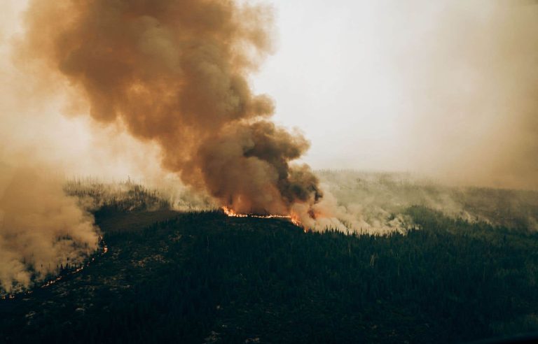 7200 people are still evacuated in Quebec due to forest fires