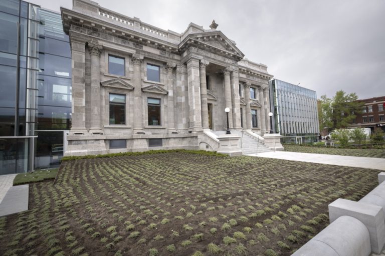 A transformed Maisonneuve library |  The Press