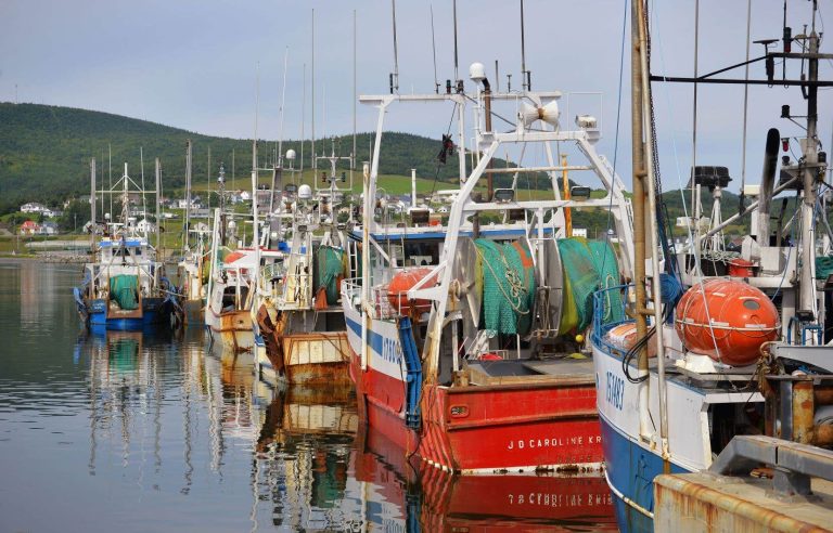 Act now to ensure a sustainable future for marine fisheries in Quebec