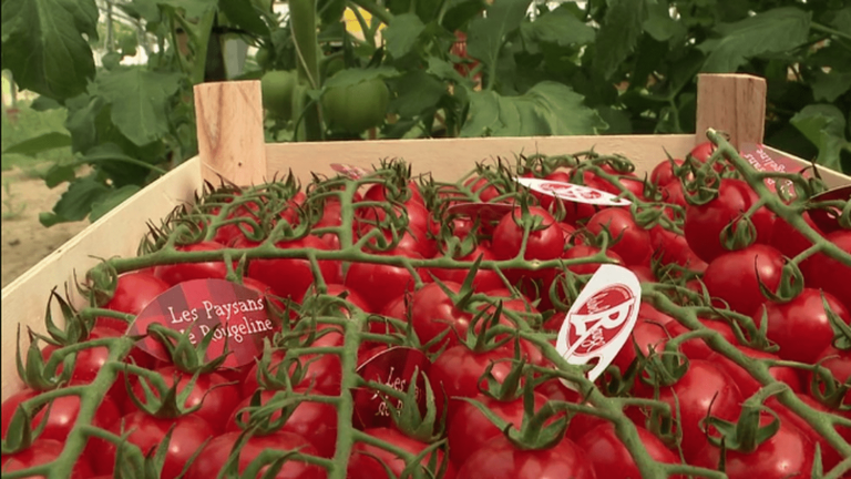 Agriculture: the Marmande tomato now has a red label