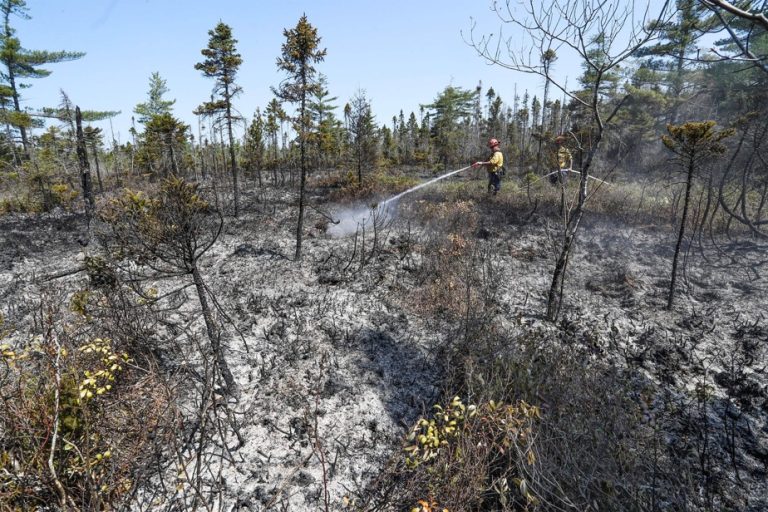 All forest fires contained in Nova Scotia