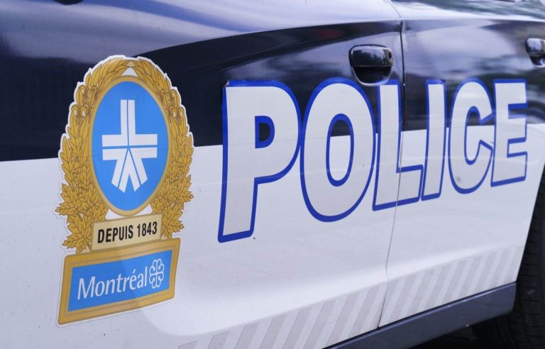 Amber Alert for 6-year-old twins in Montreal