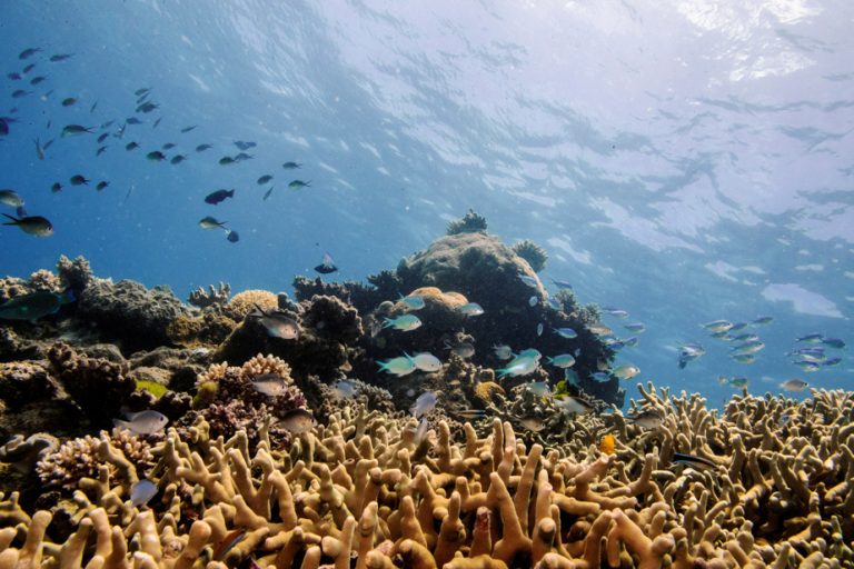 Australia |  A marine park the size of Spain