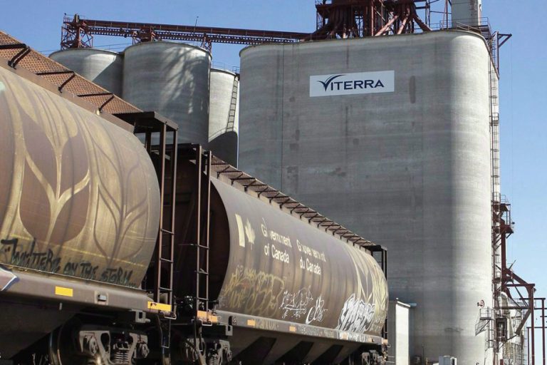 Bunge and Viterra Merger Will Create Global Agribusiness