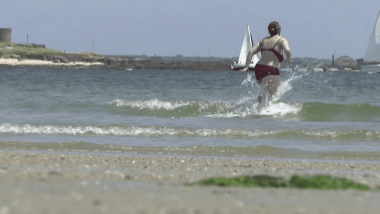 Climate: the Breton marine area victim of a heat wave