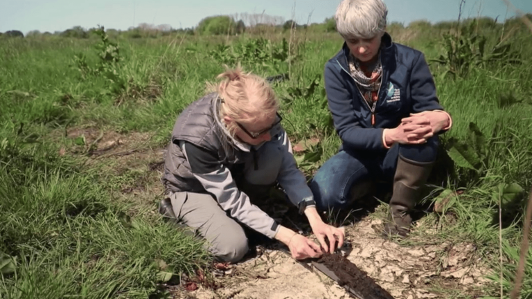 Climate: the peat bog, a wealth to be preserved in the face of global warming