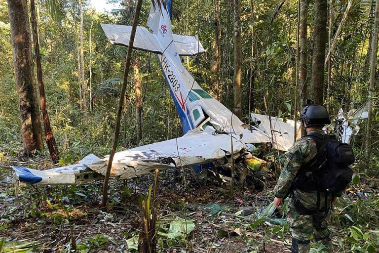 Colombia |  The four children lost in the jungle for 40 days found alive