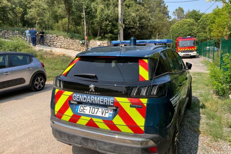 Crash of a private plane in the middle of the forest in Pignans in the Var