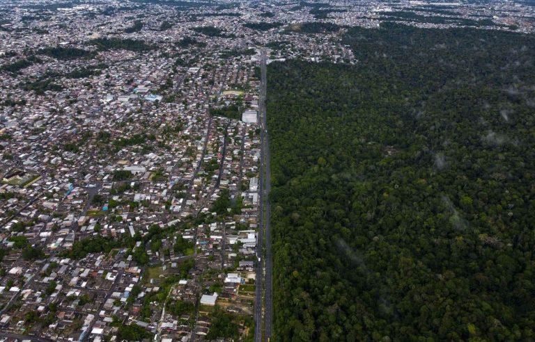 Deforestation in the Amazon drops by 31% in the first five months under Lula