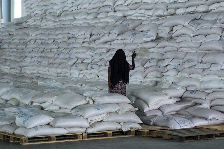 “Diversions of food” |  Ethiopia’s food aid suspension ‘punishes millions’