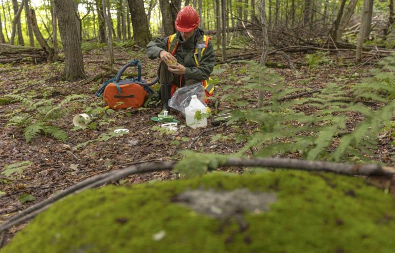 Do insects hold up?  A project is launched in ten national parks of Canada