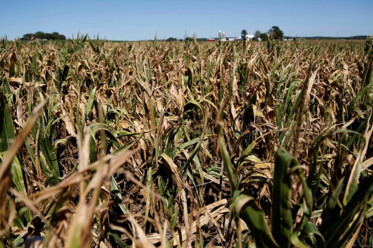 Drought grips the Midwest of the United States