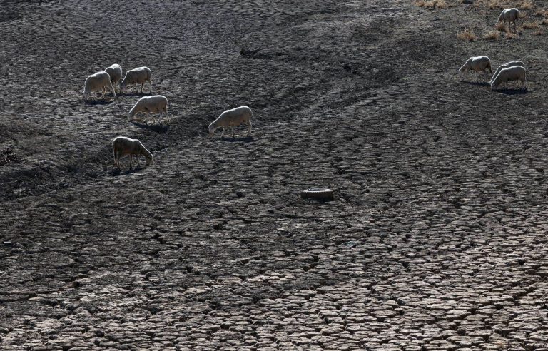 Ever-faster global warming in Europe