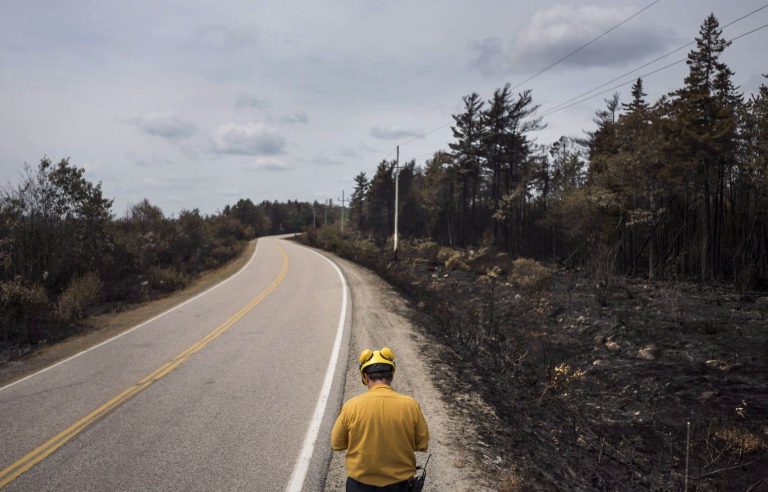 Faced with forest fires, the Bloc Québécois calls for flexibility in employment insurance