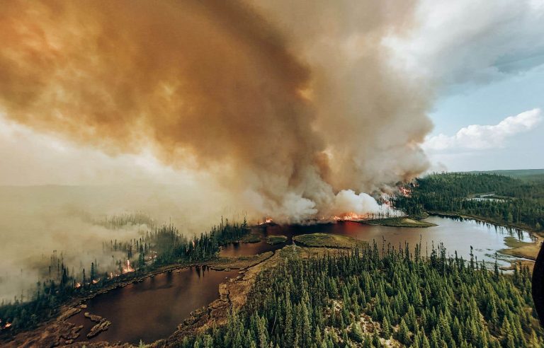 Fires: the Bloc Québécois calls for an aid program for the forest industry