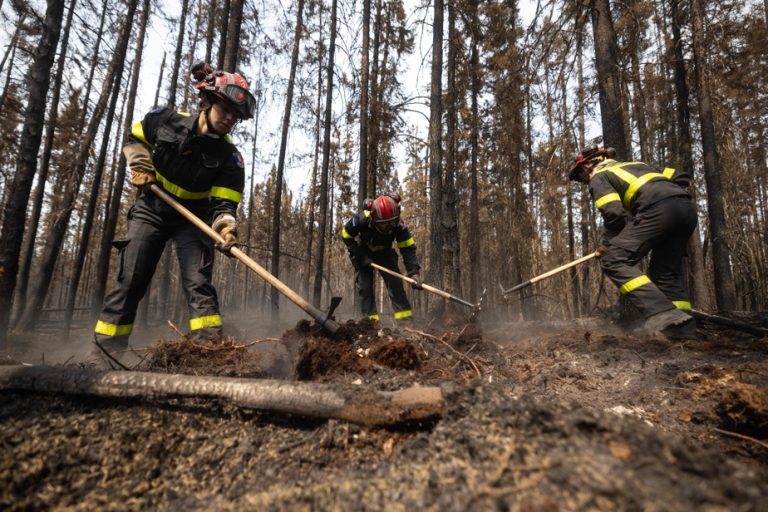 Forest fires |  A “difficult week” in sight, new evacuations possible