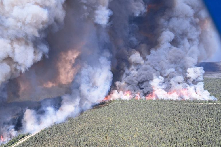 Forest fires |  Canada and the United States sign a cooperation agreement