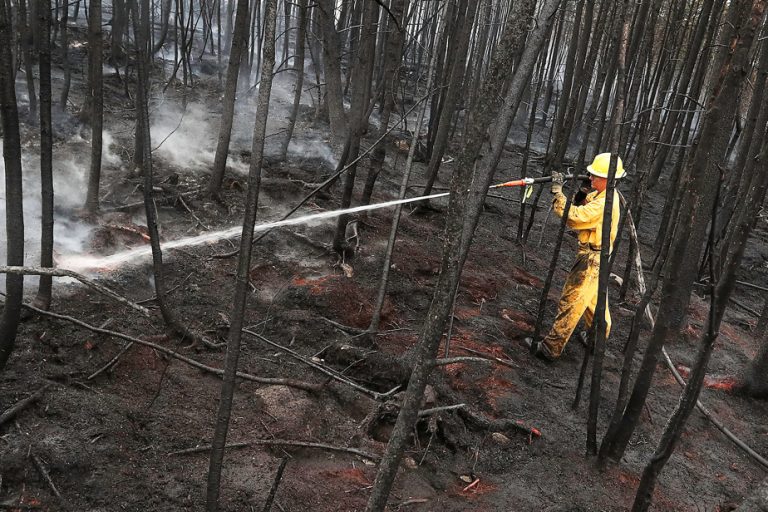 Nova Scotia |  Wildfire near Halifax 100% contained, authorities say