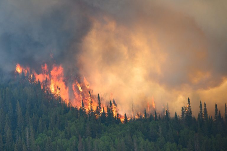 Forest fires |  Evacuation of the Cree community of Mistissini