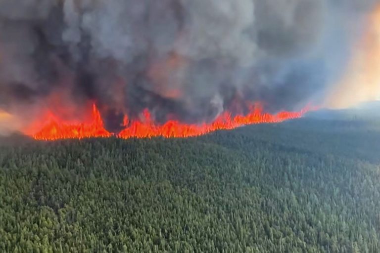 Forest fires |  Fires flare up again in the west of the country