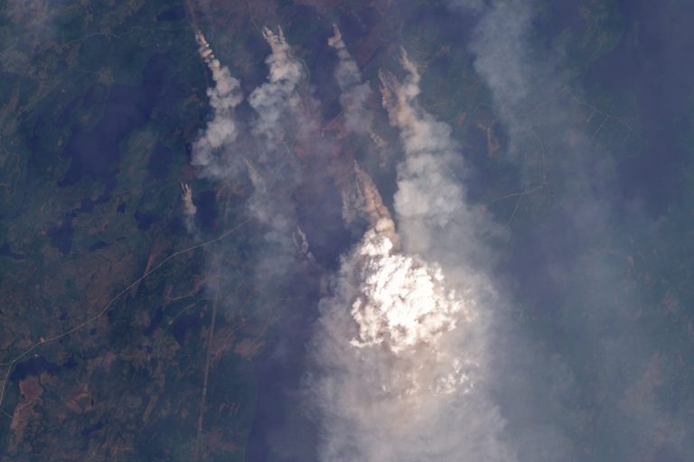 Forest fires |  International aid “allows us to see improvement”