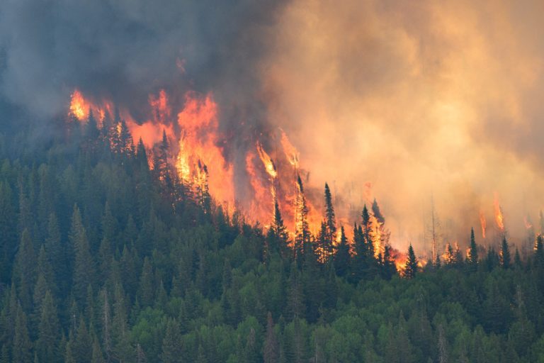 Forest fires |  Mistissini begins the evacuation to Chicoutimi