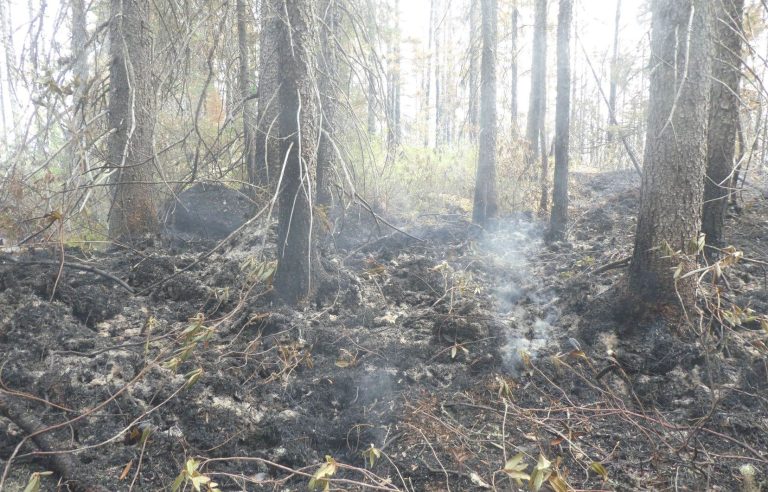 Forest fires: Reintegration could be compromised in Lebel-sur-Quévillon