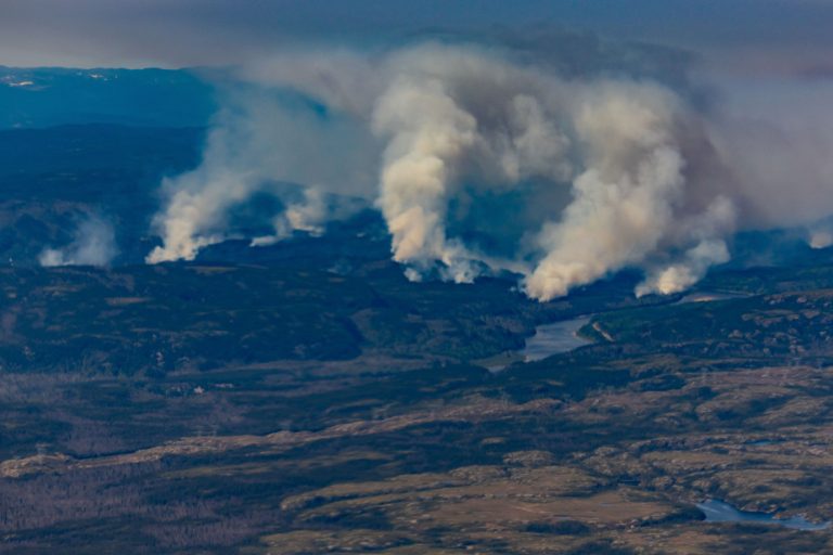 Forest fires |  Smog warning for several regions, including Montreal