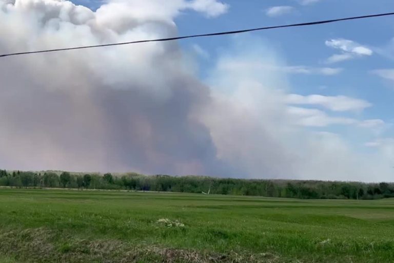 Forest fires |  The fire 500 meters from Normétal