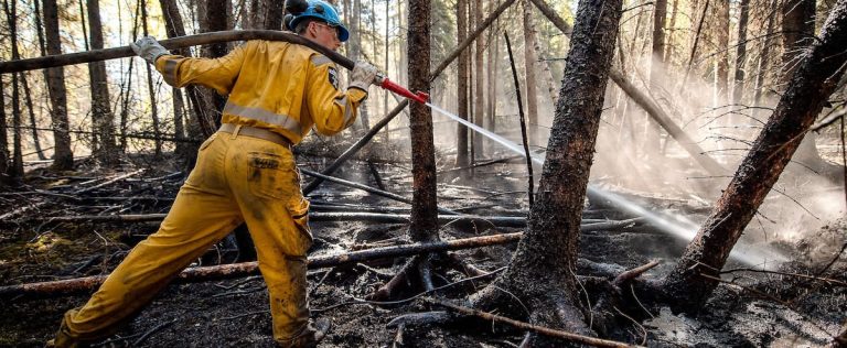 Forest fires: it will take months before everything is extinguished