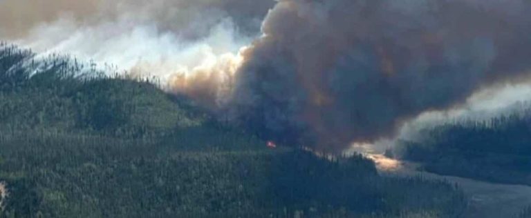 Forest fires: more than 11,000 people still evacuated