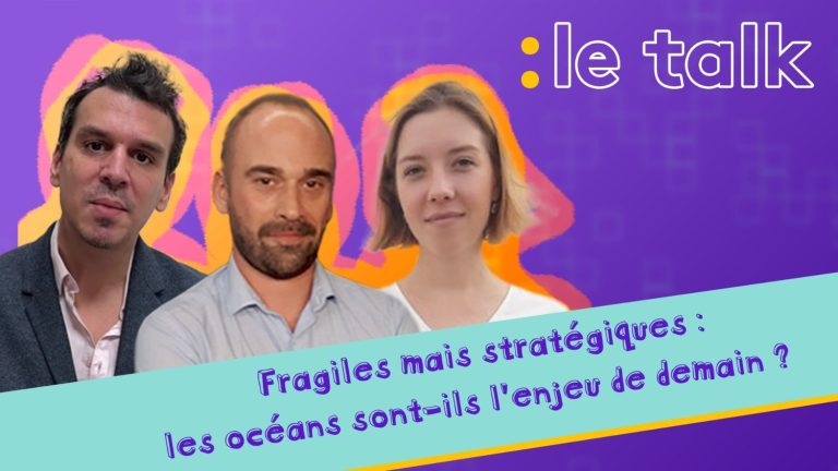 Fragile but strategic: are the oceans tomorrow’s challenge?  The Franceinfo Talk debate