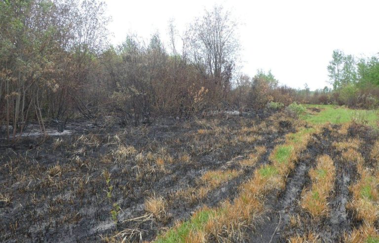 François Legault estimates that there will remain 4,000 evacuees due to the forest fires at the end of the day