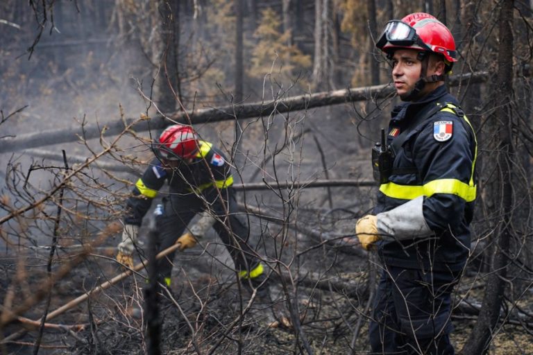 French firefighters in Quebec |  “We learn a lot from each other”