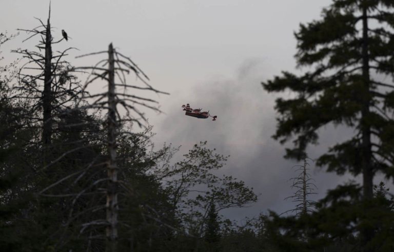 Half of the village of Chapais was evacuated because of a forest fire