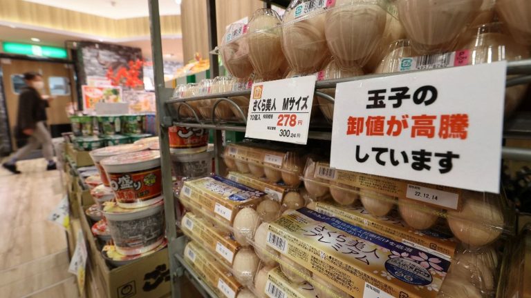 In Japan, egg recipes… but without eggs, because of avian flu