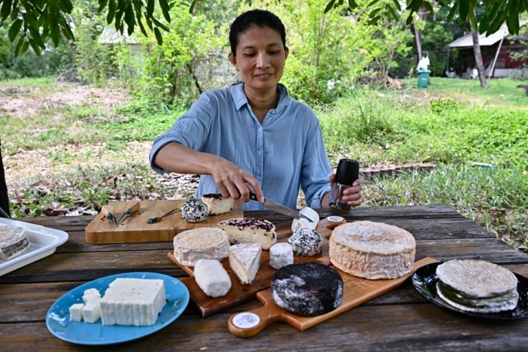 In Thailand with a goat cheese pioneer