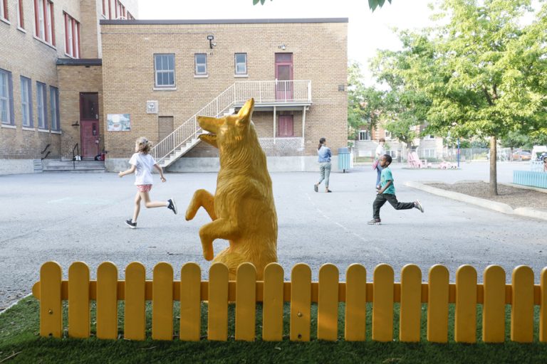 In pictures |  Heavens, this yard has dog!