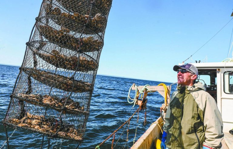 In pictures |  Mariculture in the eye of Jacques Nadeau