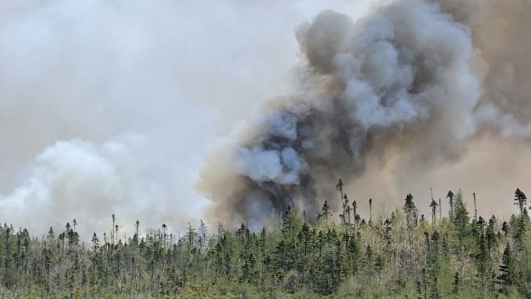 Infographics More than 360 times the area of ​​Paris, 794 times that of Lyon… What would Canadian fires look like if they were raging in France?