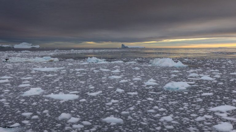 “It’s too late for the sea ice, but we can still save other ecosystems”, insists glaciologist Heïdi Sevestre