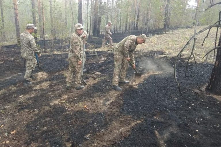 Kazakhstan |  National day of mourning after huge deadly forest fires