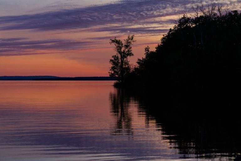 Montreal’s nature parks in summer mode