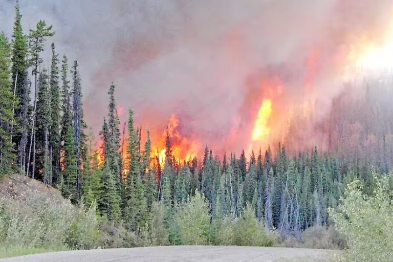 North of Quebec |  A forest fire forces the evacuation of hundreds of people in Chapais