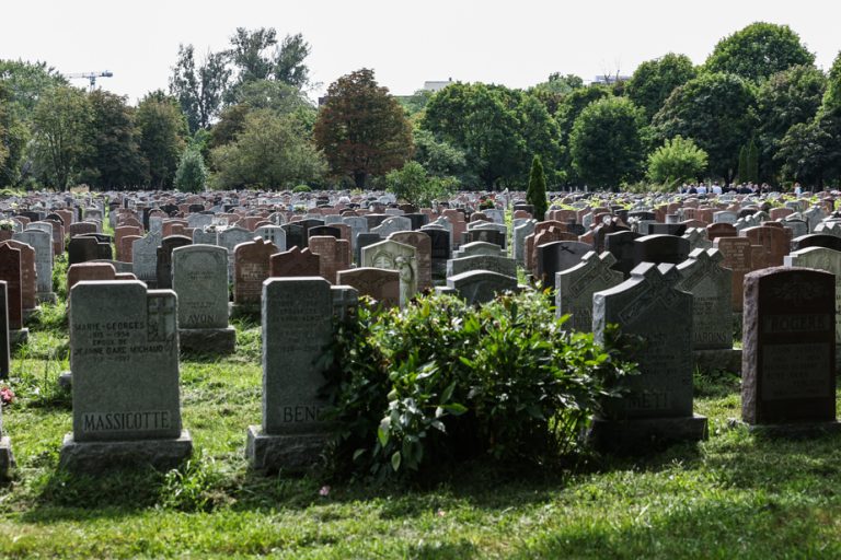 Notre-Dame-des-Neiges Cemetery |  Still no agreement in sight, an “insufficient” global offer refused